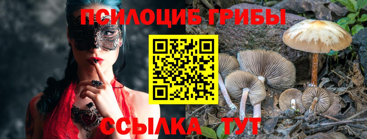 Псилоцибиновые грибы ЛСД  Вход с VPN  закладки  Шатура 